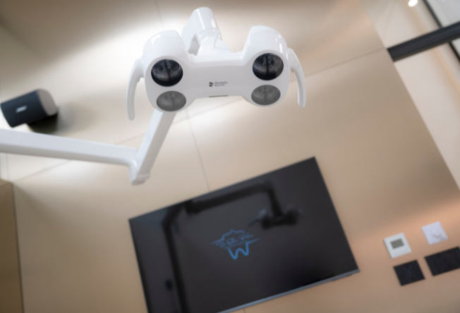 dr edin bukva – portret